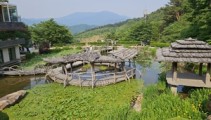정용식의 사찰 기행