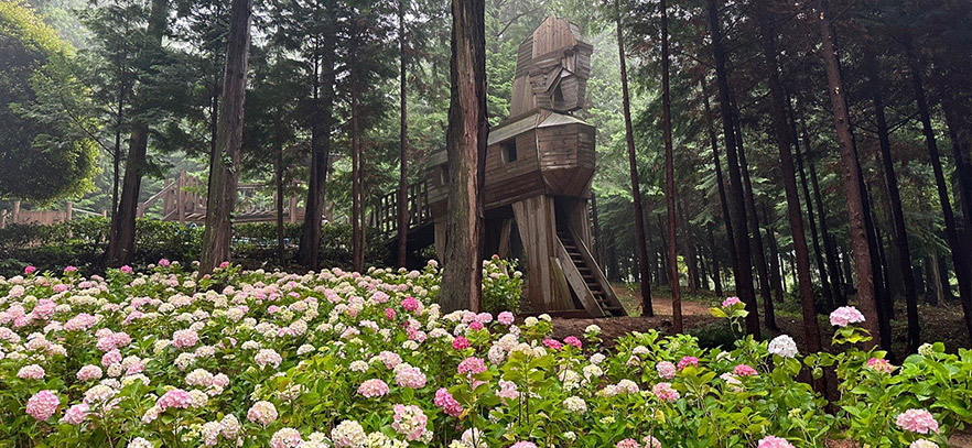 Jangheung Woodland (Jangheung Woodland)