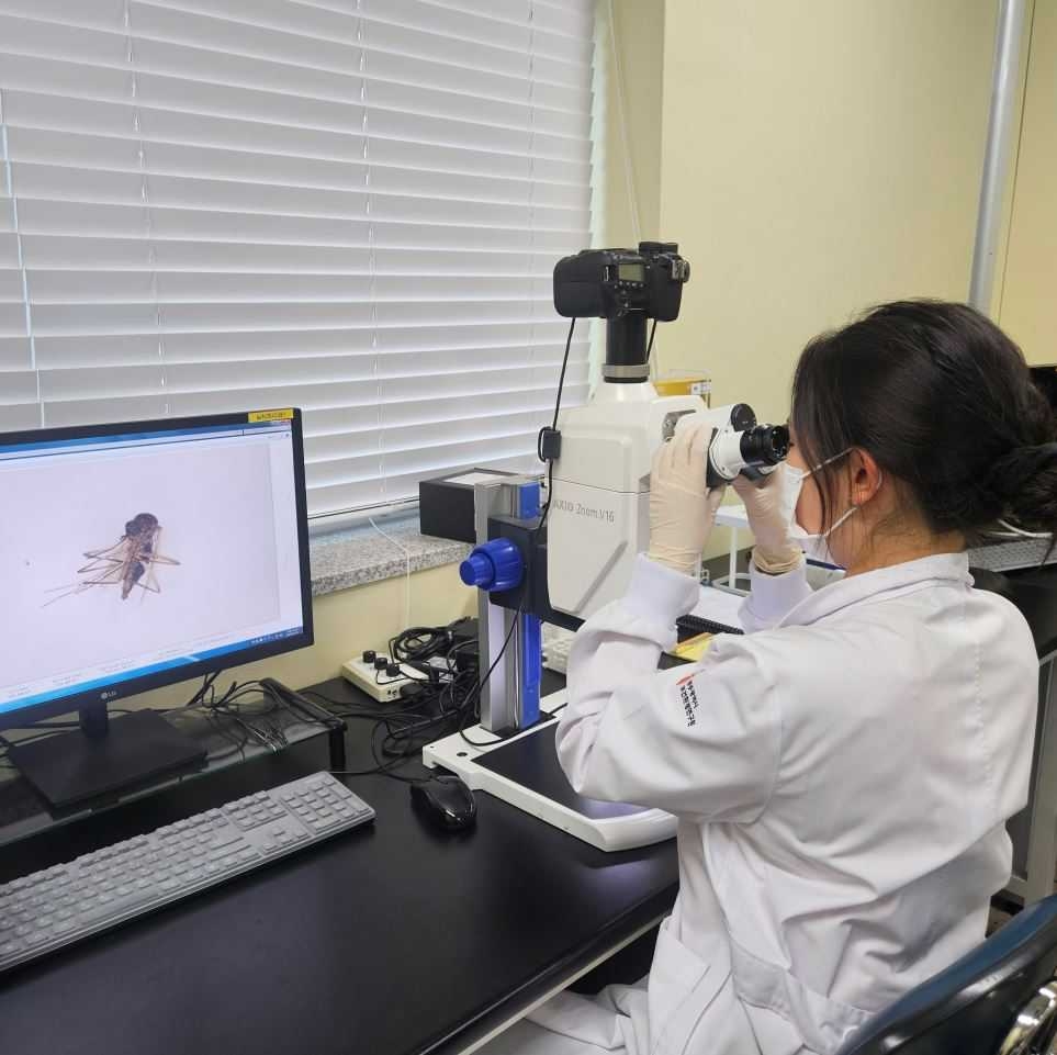 광주광역시 보건환경연구원은 최근 토토사이트 해외축구 중계 개체 수가 증가함에 따라 토토사이트 해외축구 중계 매개 감염병 예방수칙을 준수해줄 것을 당부했다.