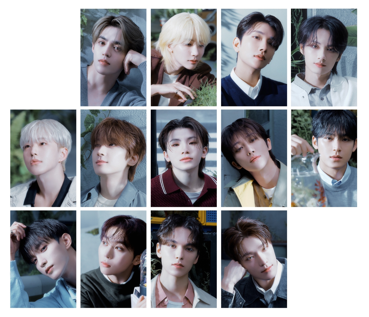 세븐틴/사진=플레디스
