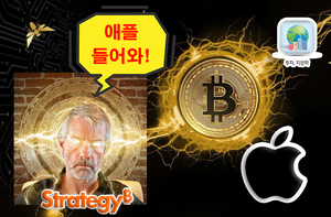 삼성전자·애플도 ‘비트코인 전략 자산화’ 그날 올까?…美 기업은 50% 넘는 수익률 보였다는데 [신동윤의 투자,지정학]
