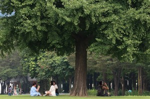 서울숲에 불 지르고 달아난 러시아 남녀…범행 90분만에 붙잡았다