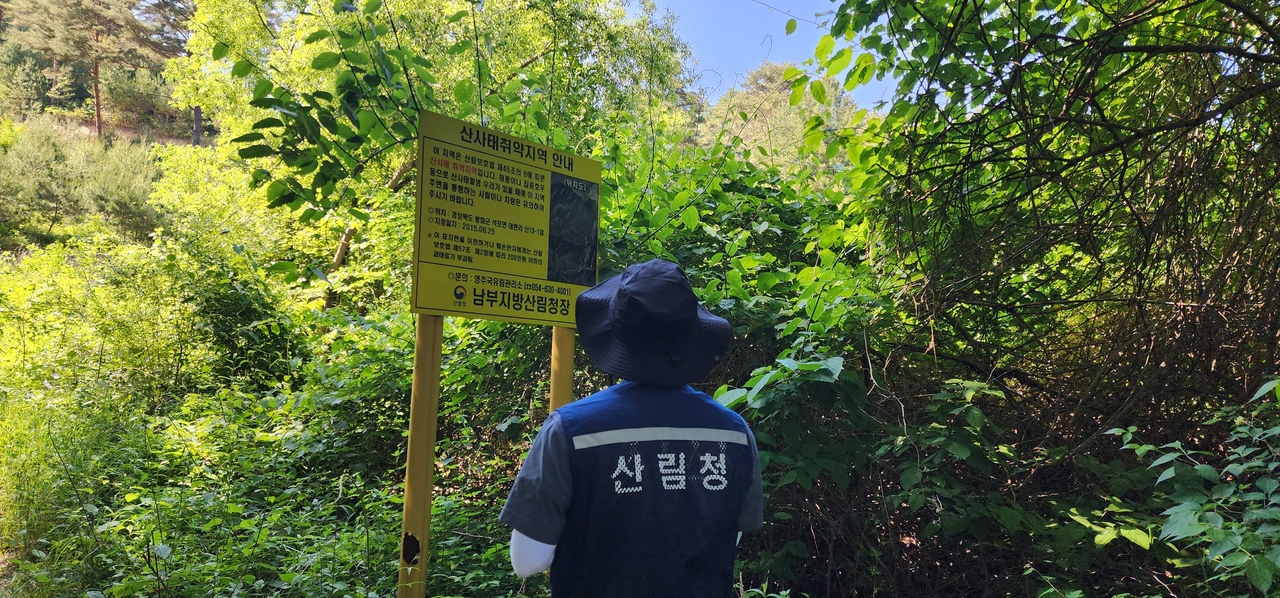 영주국유림관리소가 20일까지 산사태취약지역 집중점검에 나선다 [영주국유림관리소 제공]