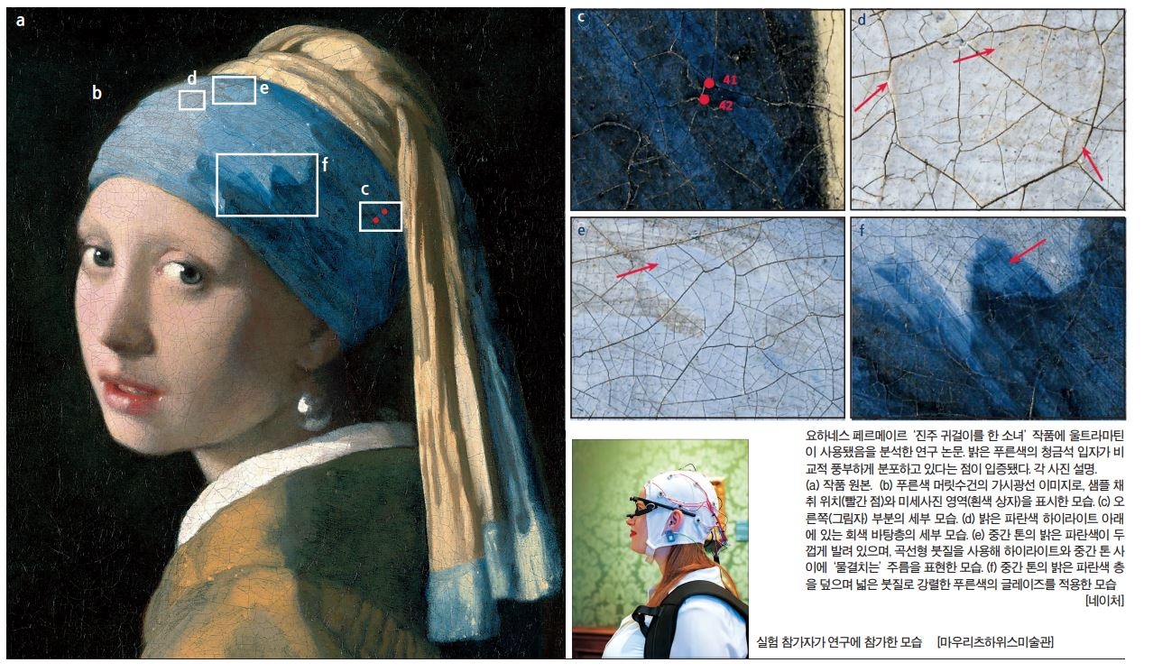 요하네스 페르메이르 ‘진주 귀걸이를 한 토토사이트 위치 작품에 울트라마틴이 사용됐음을 분석한 연구 논문. 밝은 푸른색의 청금석 입자가 비교적 풍부하게 분포하고 있다는 점이 입증됐다. 각 사진 설명.
(a) 작품 원본. (b) 푸른색 머릿수건의 가시광선 이미지로, 샘플 채취 위치(빨간 점)와 미세사진 영역(흰색 상자)을 표시한 모습. (c) 오른쪽(그림자) 부분의 세부 모습. (d) 밝은 파란색 하이라이트 아래에 있는 회색 바탕층의 세부 모습. (e) 중간 톤의 밝은 파란색이 두껍게 발려 있으며, 곡선형 붓질을 사용해 하이라이트와 중간 톤 사이에 ‘물결치는’ 주름을 표현한 모습. (f) 중간 톤의 밝은 파란색 층을 덮으며 넓은 붓질로 강렬한 푸른색의 글레이즈를 적용한 모습  [네이처]