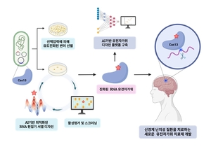 가톨릭중앙의료원, 유전자 가위 기술로 RNA 편집 연구 본격화 - 뉴스 썸네일 이미지
