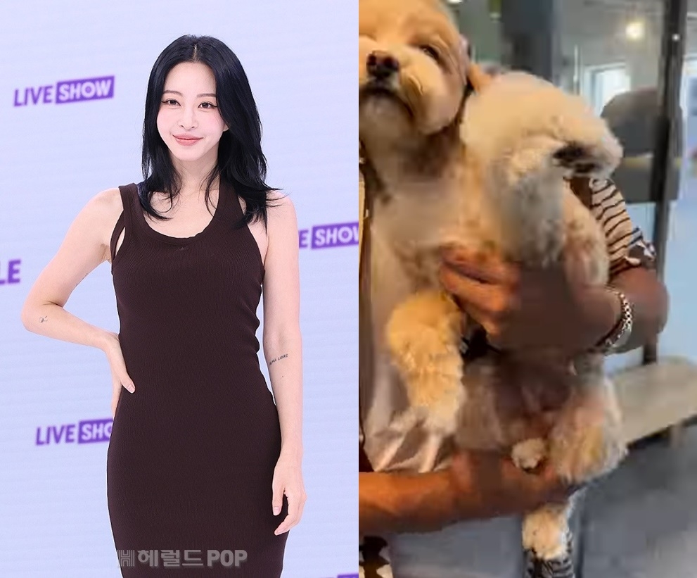 한예슬/사진=민선유 기자, 한예슬 SNS