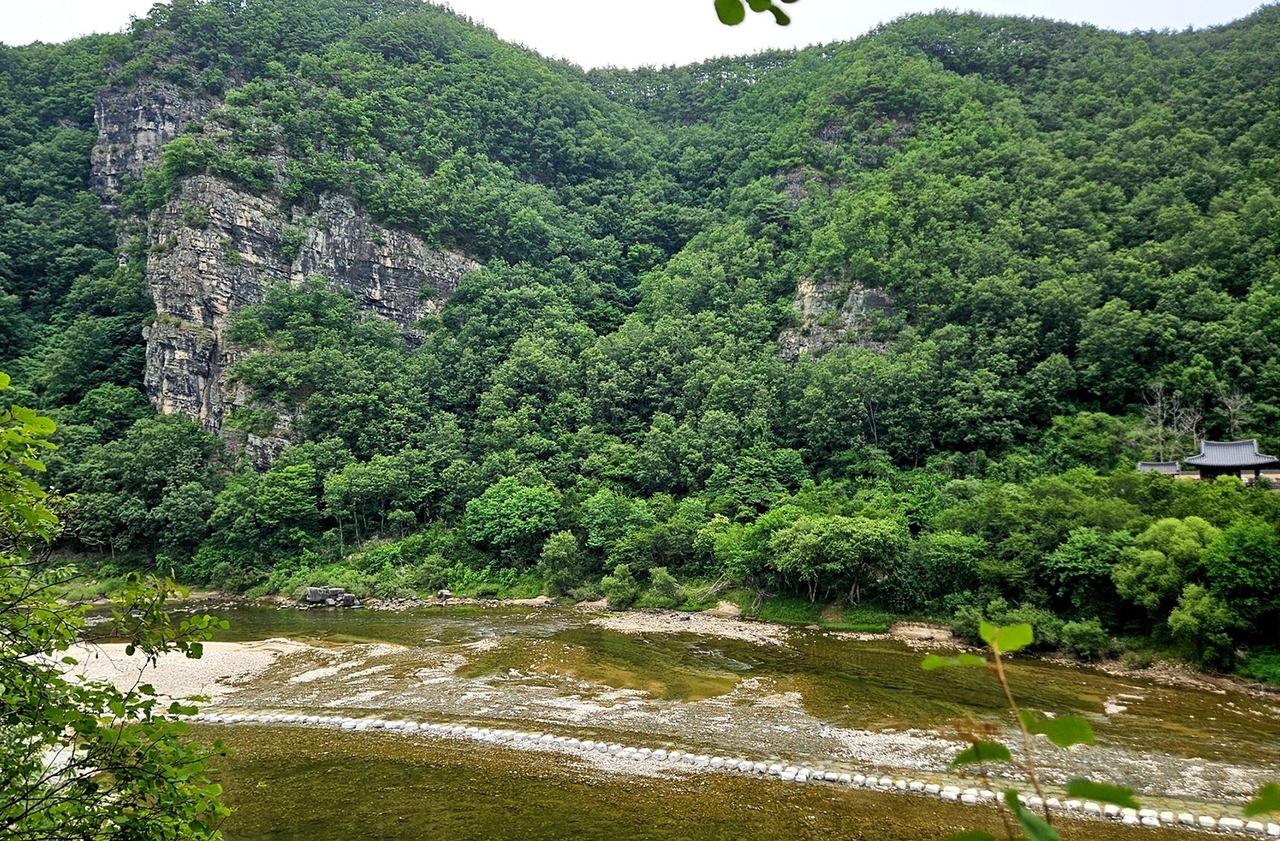 도산면 가송리 농암종택 앞 낙동강 징검다리. [안동시제공]