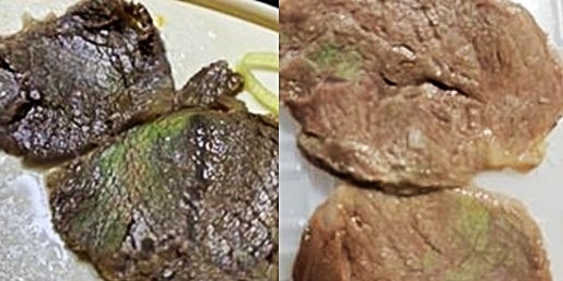 형광색이 도는 풀문 토토사이트 [식품안전정보원 제공]
