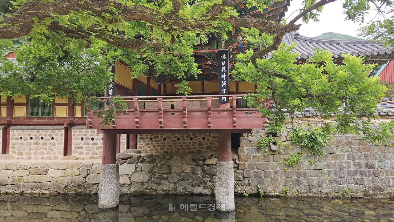 육감정