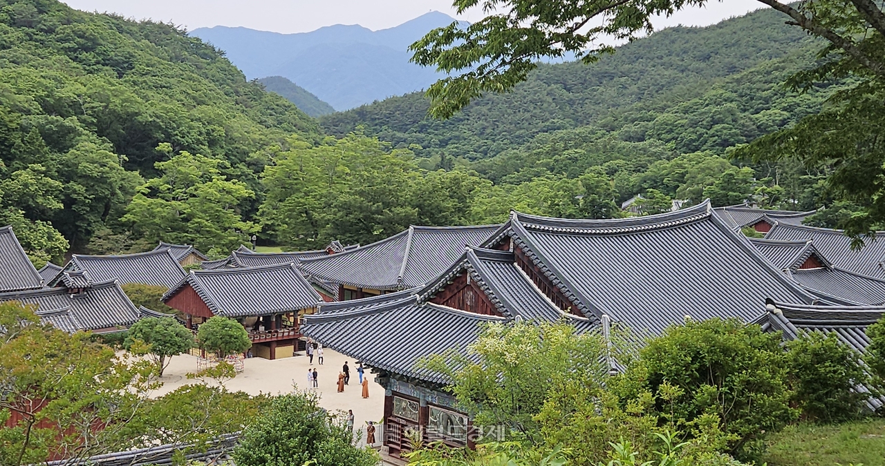 전남 순천시 토토사이트 마루한 전경