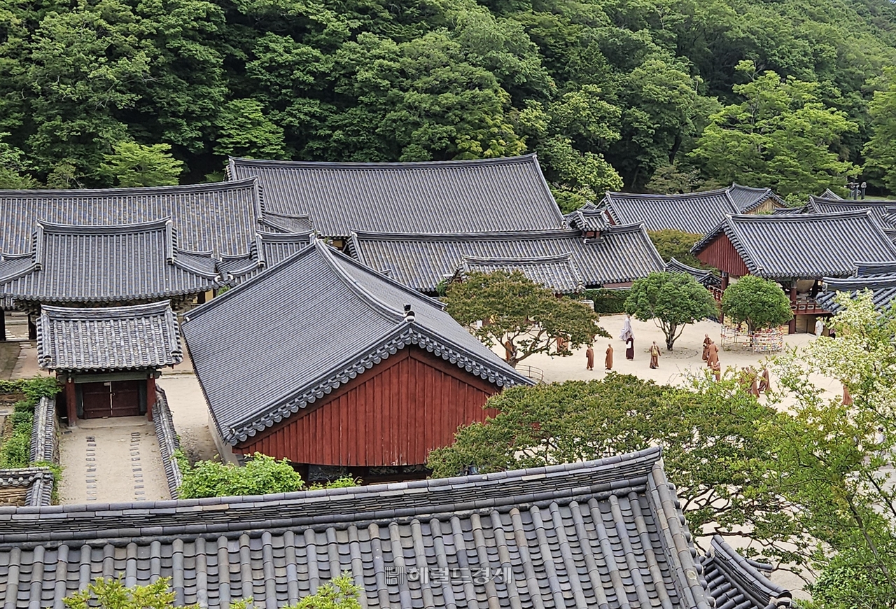 토토사이트 마루한 전경