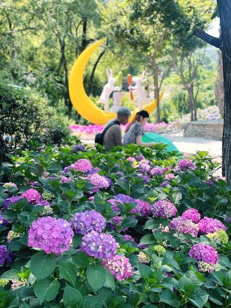 Suguk Suguk Festival (Korea Tourism Organization)