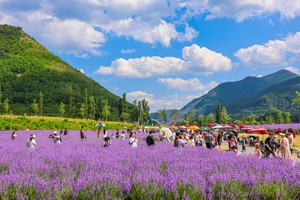 Festivals, sights across Korea