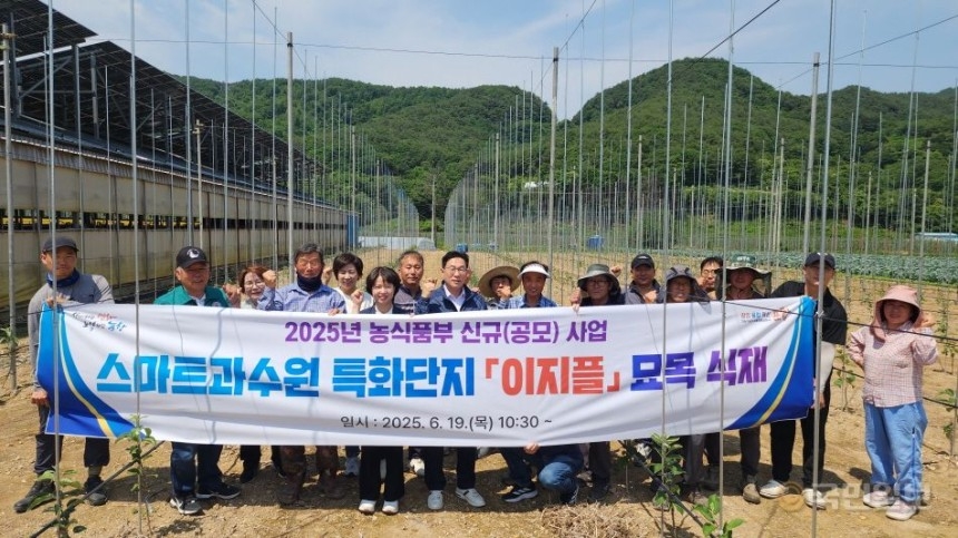 포항시는 19일 스마트과수원 특화단지에서 이지플 사과나무 식재 행사를 가졌다. [포항시 제공]
