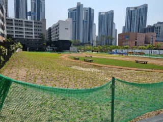 “체육시설 들인다더니, 웬 밭이냐” 강남 주민들, 기부채납 부지 놓고 ‘분통’ [부동산360]
