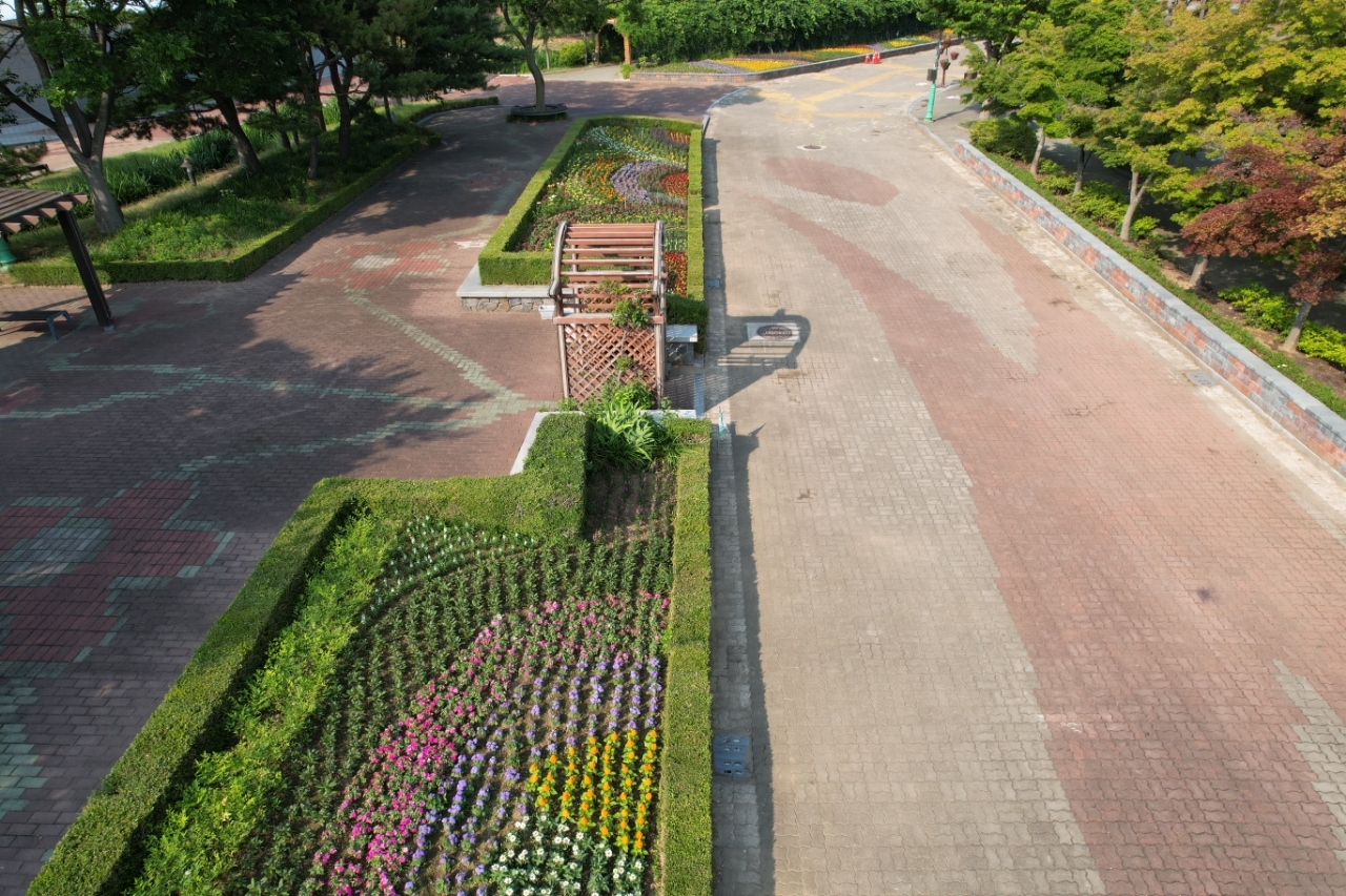 울진군이 왕피천 공원에 여름꽃을 심어 볼거리를 제공하고 있다[울진군제공]