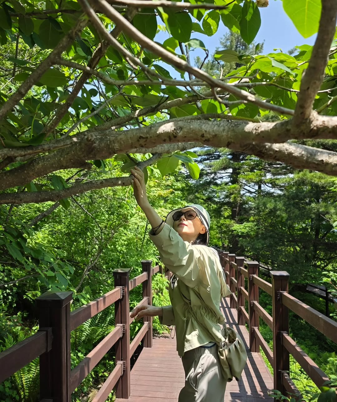 이영애 채널