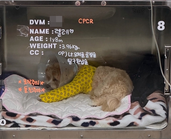 사진=한예슬 채널