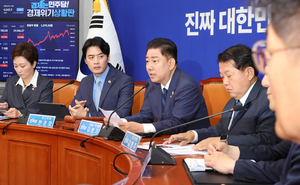 이런 정치