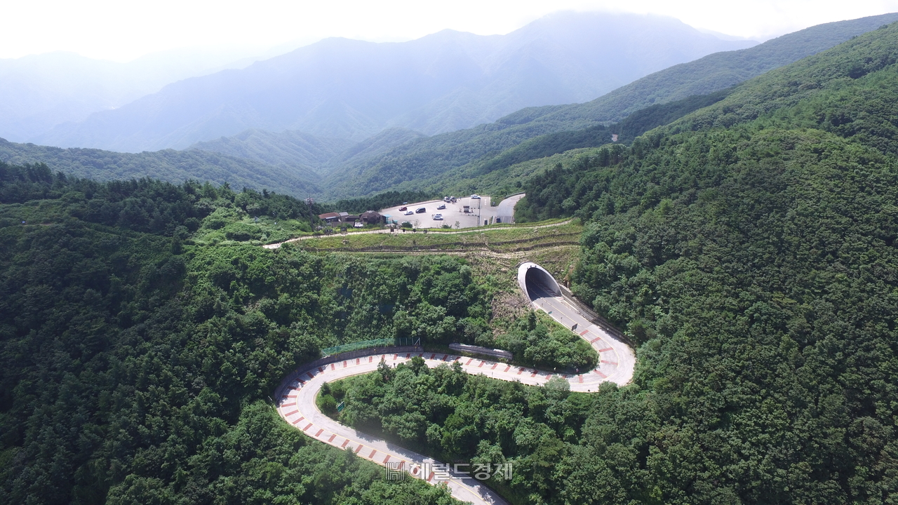 백두대간 생태축 복원 후(남원시 정령치) 모습 [산림청 제공]