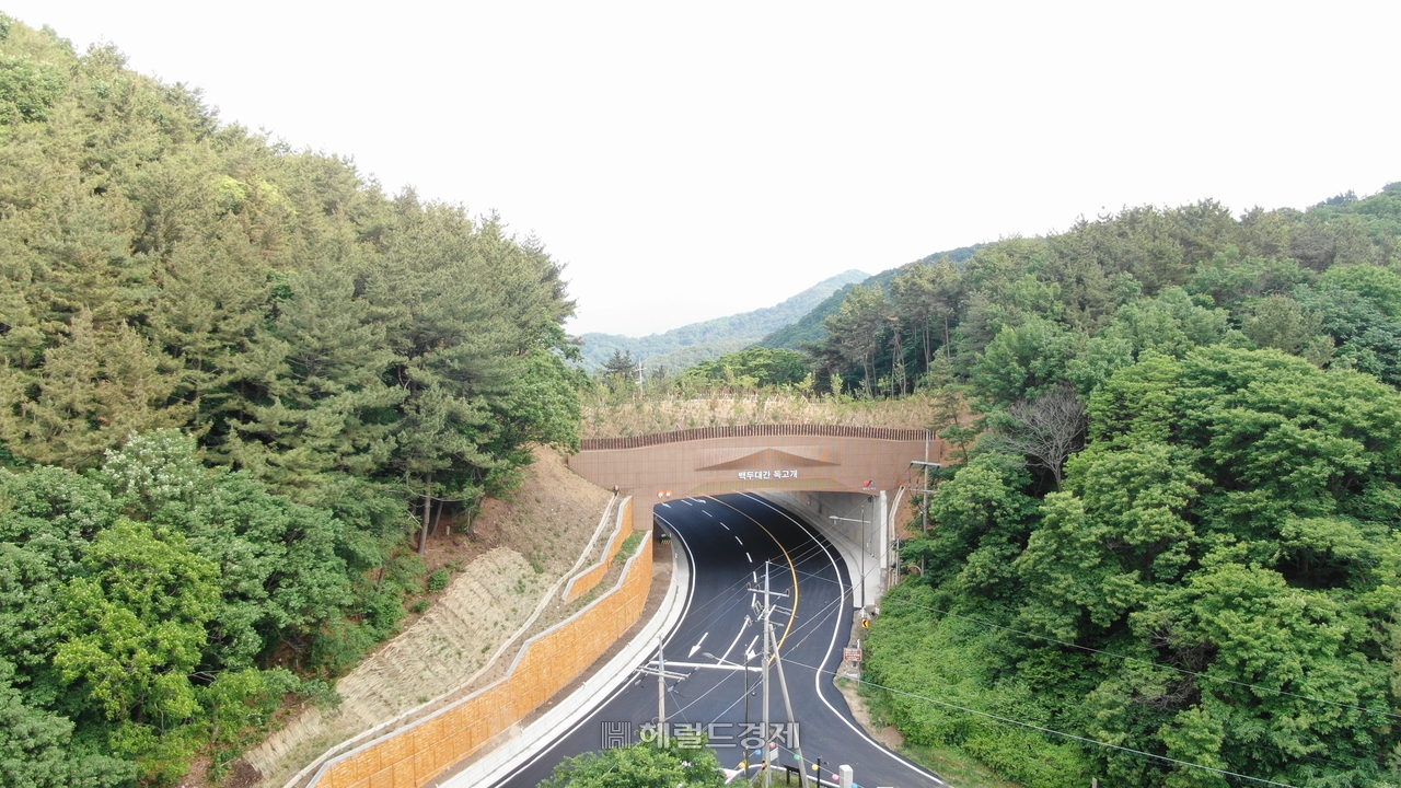 서산시 백두대간 생태축 복원 사업 후 모습 [산림청 제공]