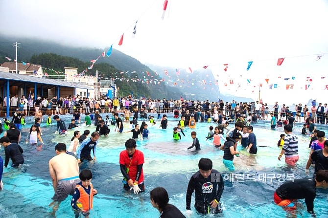 오징어 맨손잡기대회[헤럴드 DB]