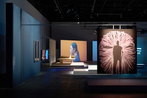 'Open Circuits' in Abu Dhabi explores curatorial collaboration