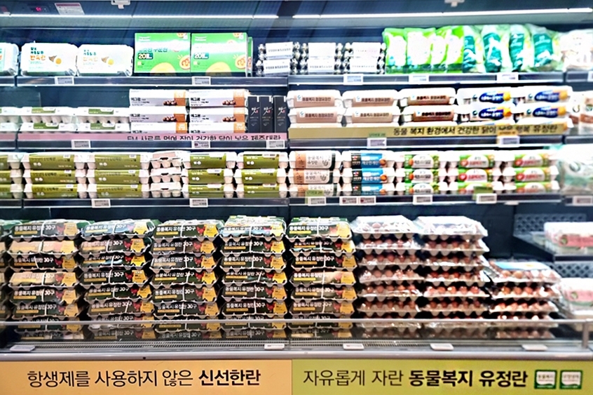 [이랜드킴스클럽 제공]