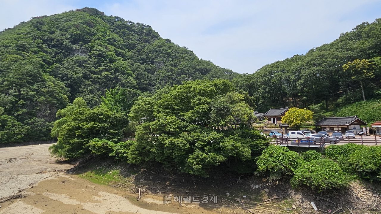 불야성 토토사이트 전경