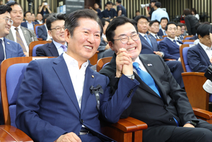 이런 정치