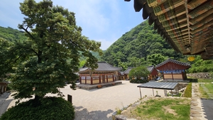 정용식의 사찰 기행
