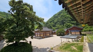 “저것이 내가 살린 물고기” 원효·혜공의 전설 깃든, 포항 오어사 [정용식의 사찰 기행]
