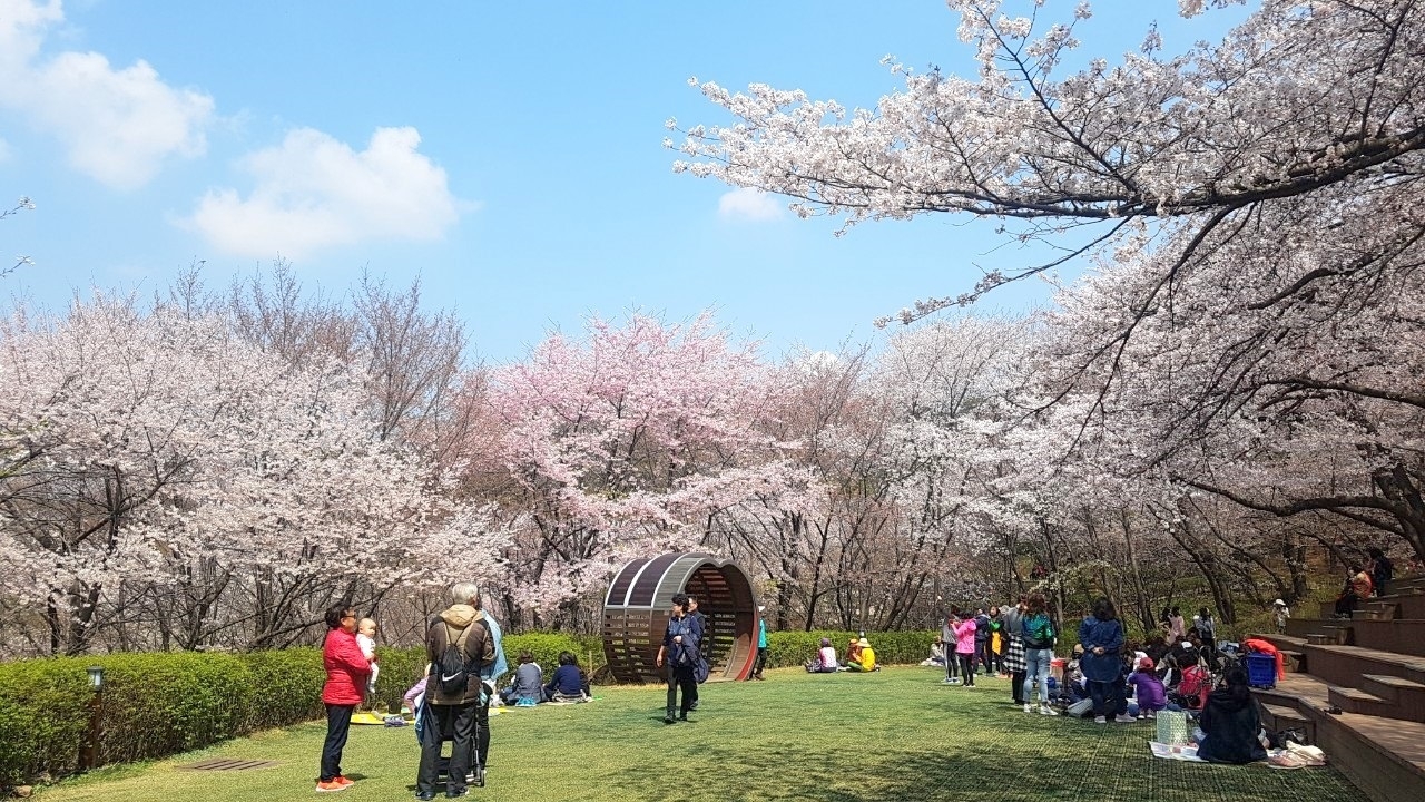 안산 잔디마당 모습. [토토사이트 has jinju 제공]