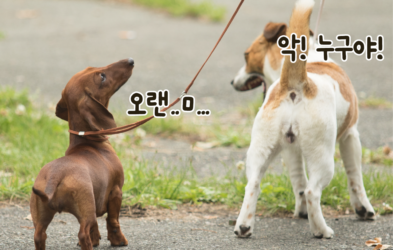 ©123rf
