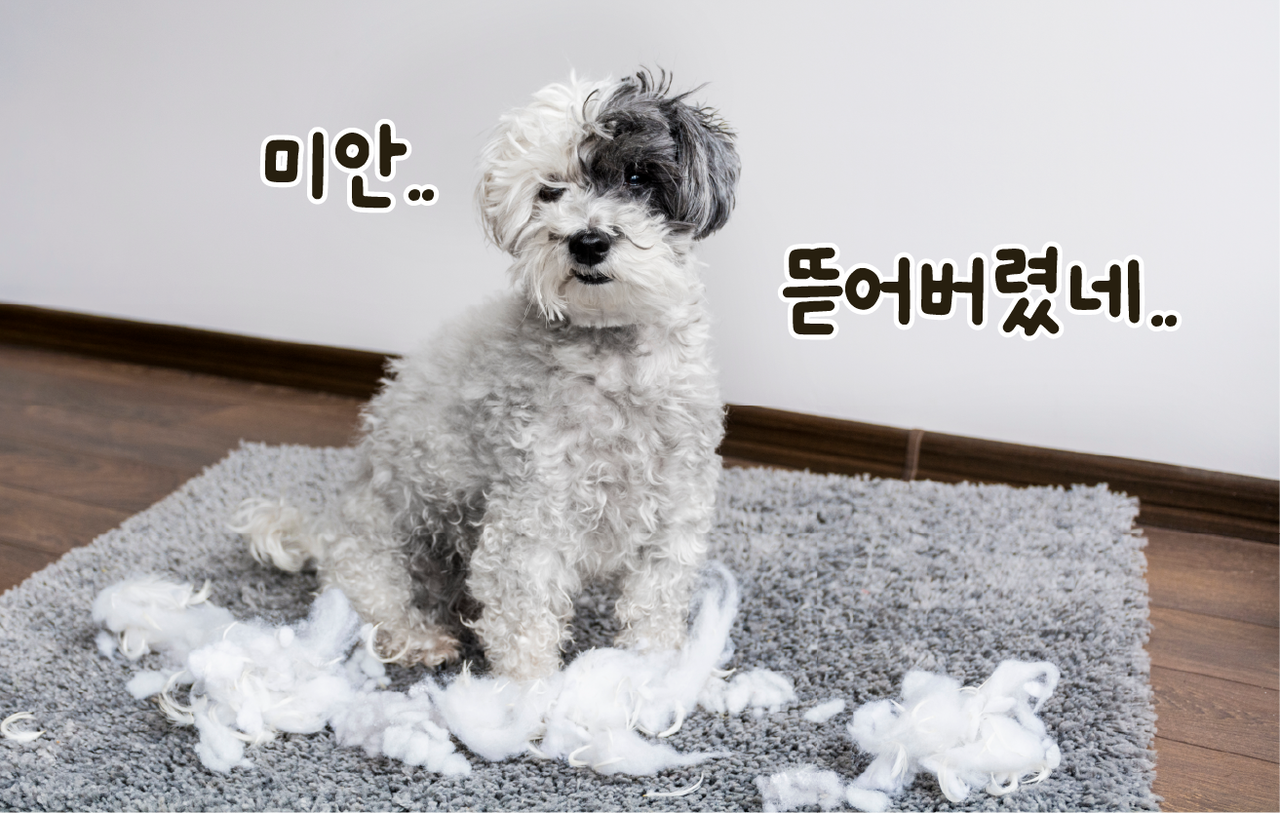 ©123rf