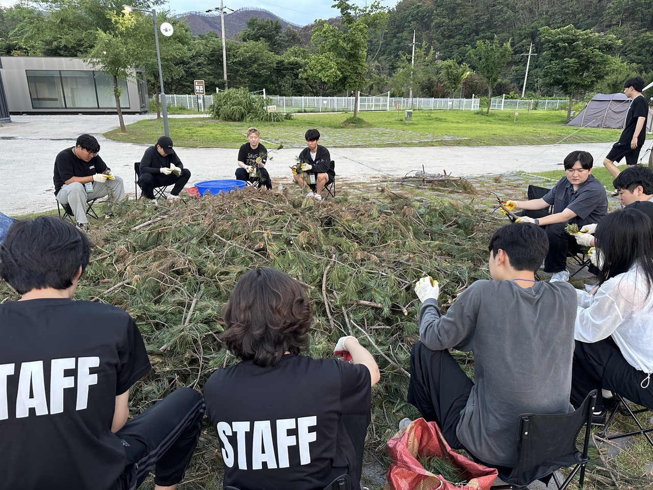 전국 총학생회협의회가 의성군 산불피해지역에서 산화 재목 정리 등 봉사활동을 하고 있다 [전총협 제공]
