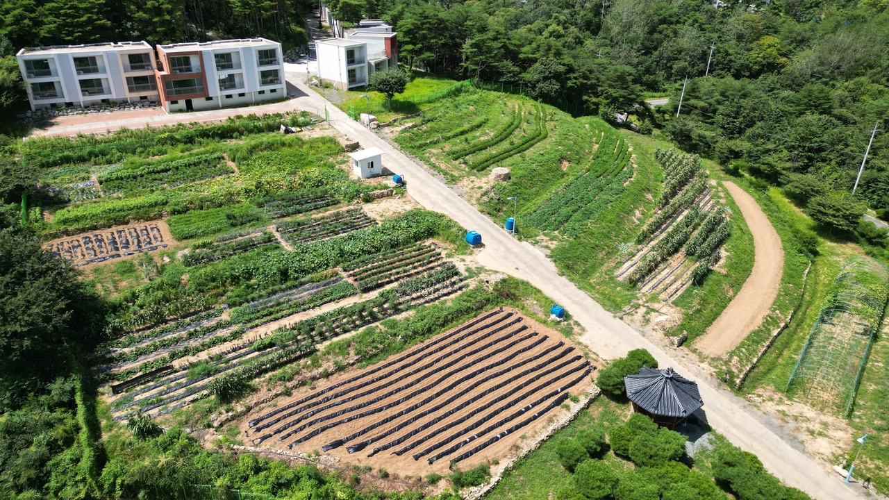 [영천시 제공]