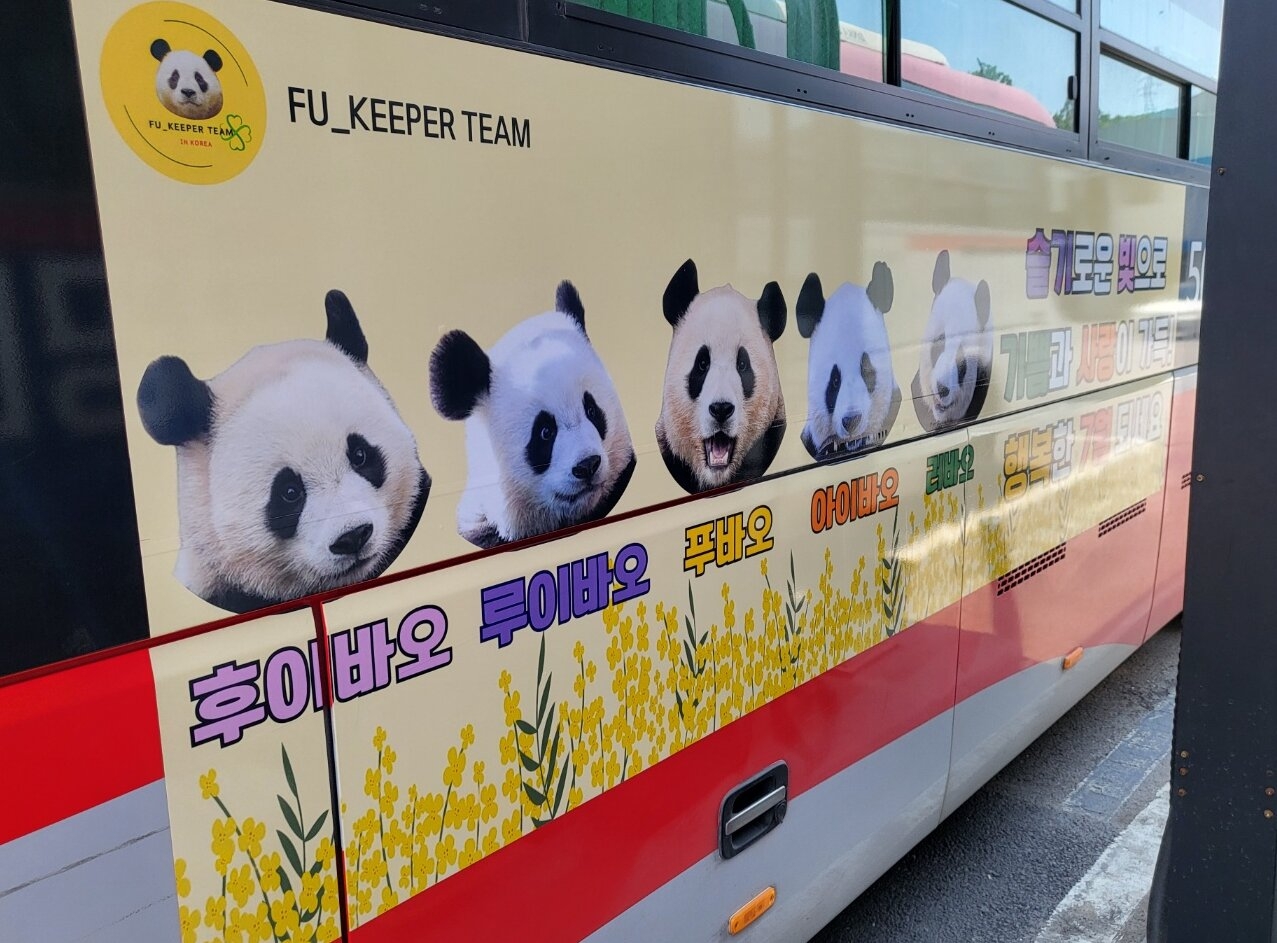 용인행 판다 버스