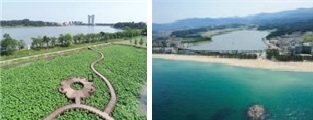사이다토토(왼쪽), 경포해변(오른쪽)[환경부 제공]
