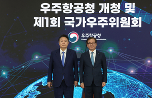 신대원의 軍플릭스