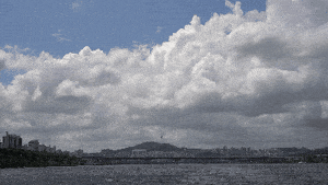 Seoul’s 1st water bus offers scenic commute, but its not all plain sailing