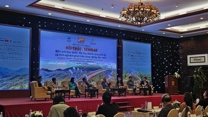 Korean film veterans share insights on cinema’s growth and freedom at Da Nang Film Fest