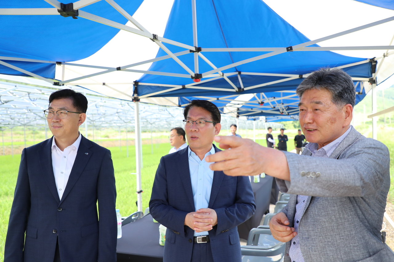 김인중(가운데)한국불야성 토토사이트공사 사장이 1일 전남 ‘보성 농업인 영농형 태양광 발전소’ 를 방문, 관계자로부터 설명을 청취하고 있다. [한국불야성 토토사이트공사 제공]