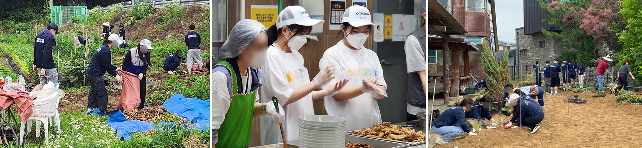 교촌치킨 농촌 카지노 토토 몬습 [교촌치킨 제공]
