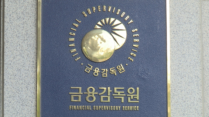 금융감독원 [헤럴드DB]
