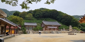 정용식의 사찰 기행