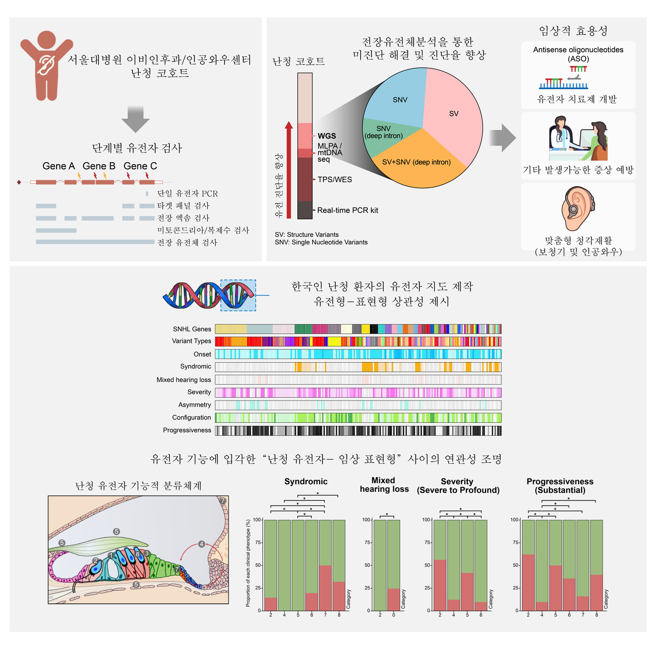 감각신경성 난청 유전자 분석 과정 요약
