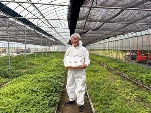 전남도,이달의 임업인에 산약초 생산자 이정은 임업후계자