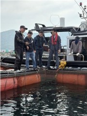 “데어 죽을까 겁나”...여수 바다 고수온 예비특보 초긴장