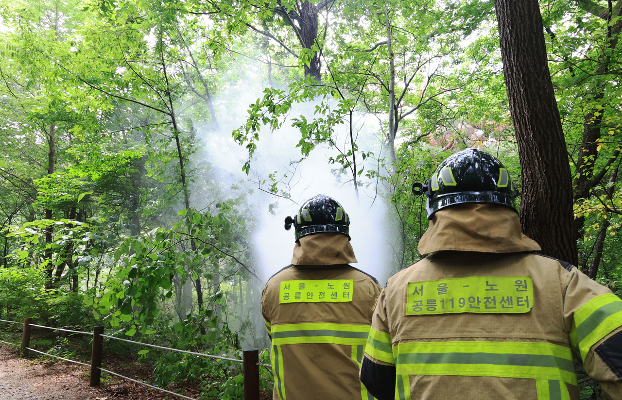 Firefighters spray water in Samyuk University in Nowon-gu, Seoul, on Thursday to contain the spread of lovebugs. Firefighters say spraying water is enough, as lovebugs have weak wings. (Yonhap)